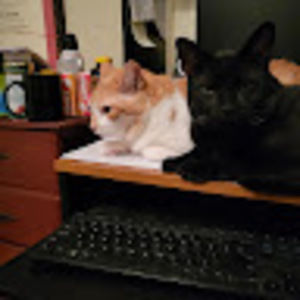 Meet your Posher, Joni